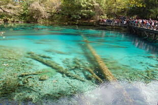 清澈见底的水下景观奇观