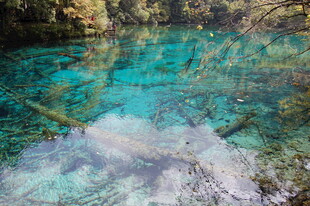 清澈碧蓝的水下世界