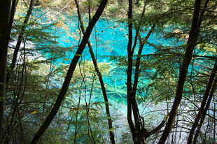 森林环绕的清澈蓝湖