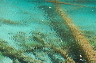 水下神秘残骸景象