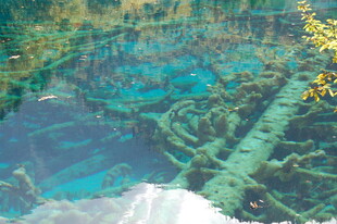 清澈水底中的神秘管道