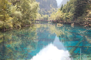 清澈蓝绿河谷自然风光