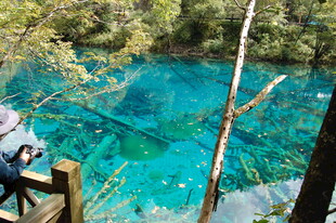 九寨沟清澈蓝绿色湖水景观