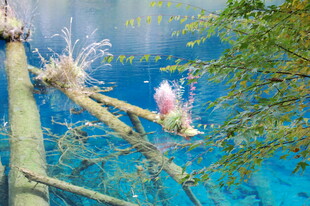 水下舞者于澄澈水域起舞