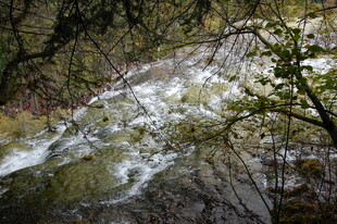 山间溪流潺潺流淌