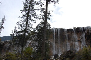 壮观瀑布旁的挺拔树木