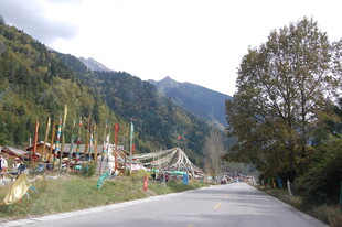 山间路旁的多彩经幡景观