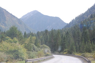 山间蜿蜒路 葱郁山林景