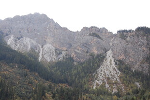 巍峨山峦与茂密森林景观