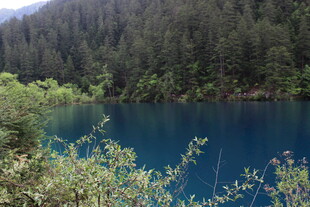 幽蓝湖泊伴葱郁山林