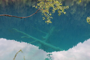 清澈湖水下的奇妙景象