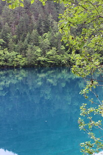 清澈蓝湖与葱郁树林美景