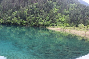 碧绿湖水与葱郁山林美景