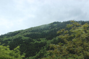 青山葱郁的自然美景