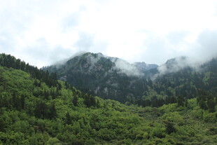 青山云雾间的自然美景