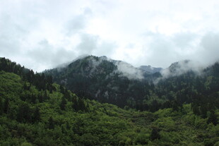 云雾缭绕的翠绿山峦