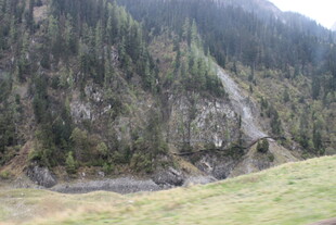 山间草坡与茂密山林景观