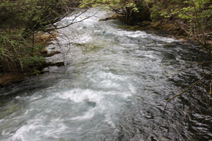 山间湍急溪流