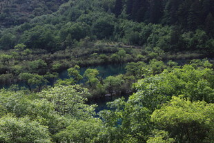 山林绿意盎然的自然景致