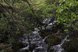 山林间的潺潺溪流