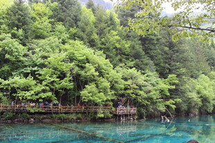 九寨沟清澈蓝绿湖水美景