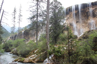 山间瀑布旁的葱郁景致