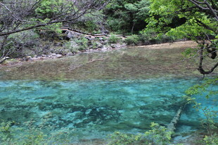 清澈见底的山间幽蓝水域