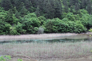 山林边的静谧水域