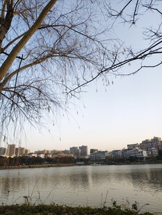 湖畔城市风光