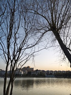 湖畔枯树映黄昏美景