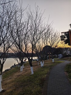 冬日河畔小路静谧景致