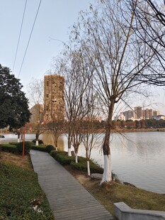 湖畔冬日步道景观