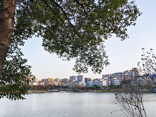 湖畔城市风光