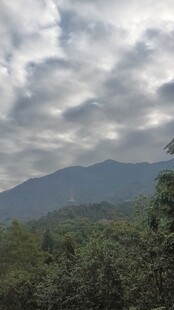 山林间的云雾缭绕美景