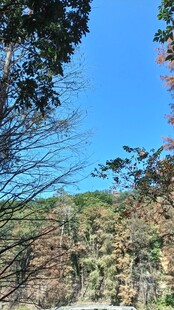 山间景致
