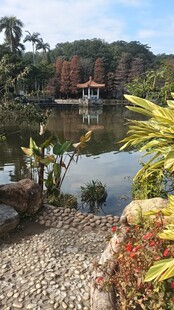 湖畔景致