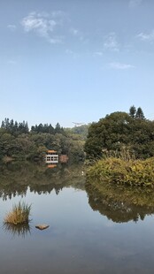 宁静湖畔风光