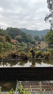 山间水田风光