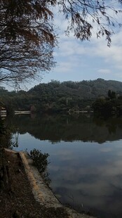 宁静湖畔风光