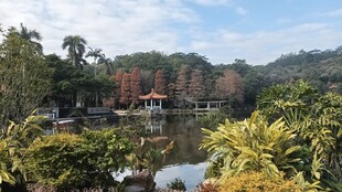 湖畔园林景致