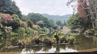 山间溪流中的竹筏景象