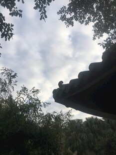 屋檐下的天空与繁茂林木