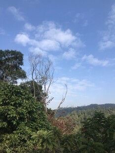 山林蓝天美景