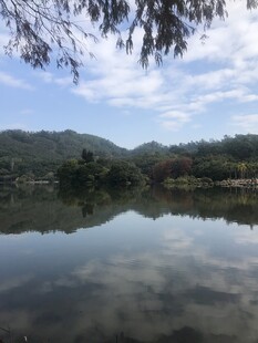 宁静湖水映山峦美景