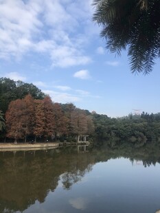 湖畔秋景