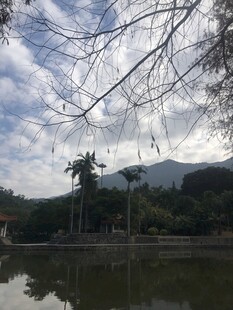 湖畔树木与远山风景