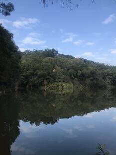 宁静湖畔的自然美景