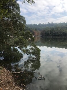 宁静湖畔