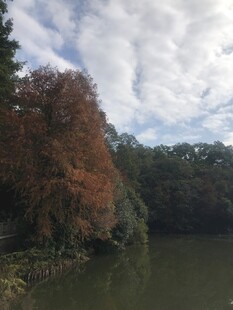 湖畔秋色