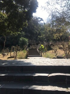 山林中的石阶小道
